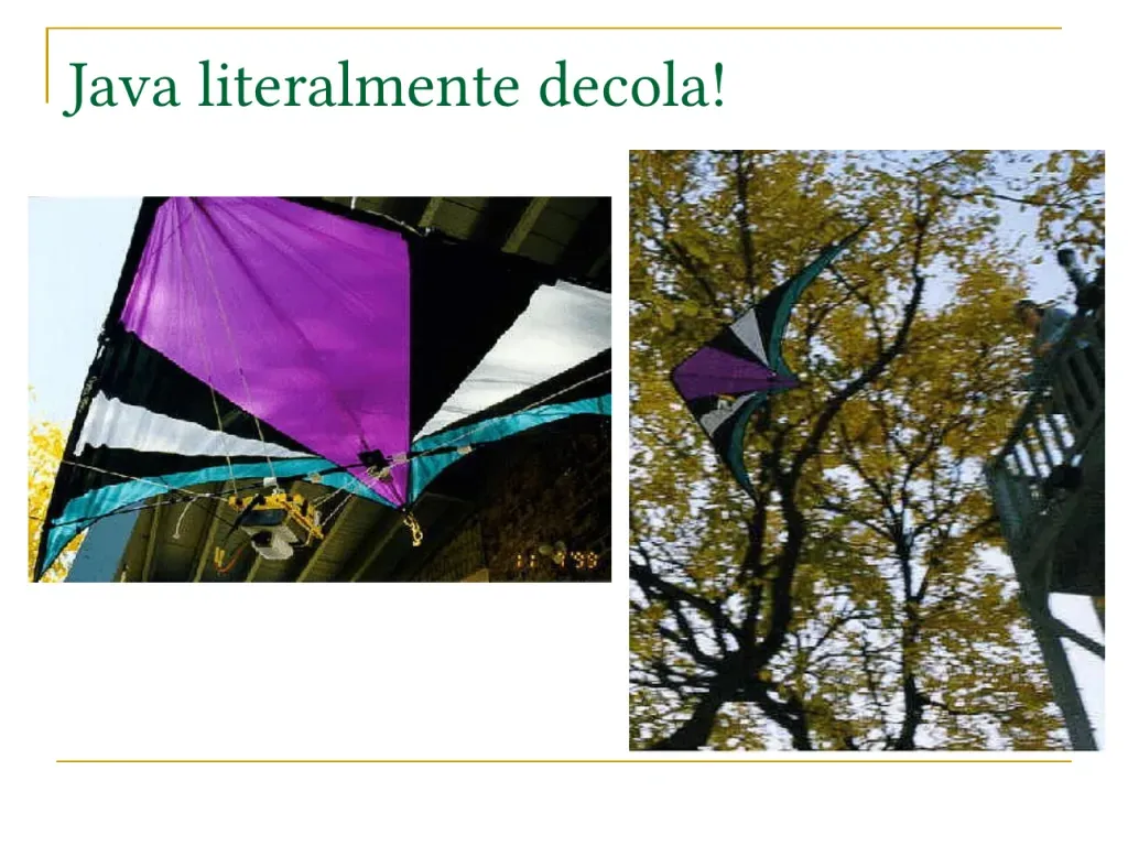 Slide 29 de 30