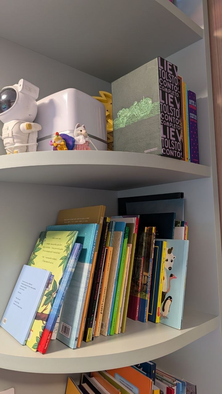 Estante arrumada: a caixa de contos completos do Tolstói em cima e os livros infantis embaixo